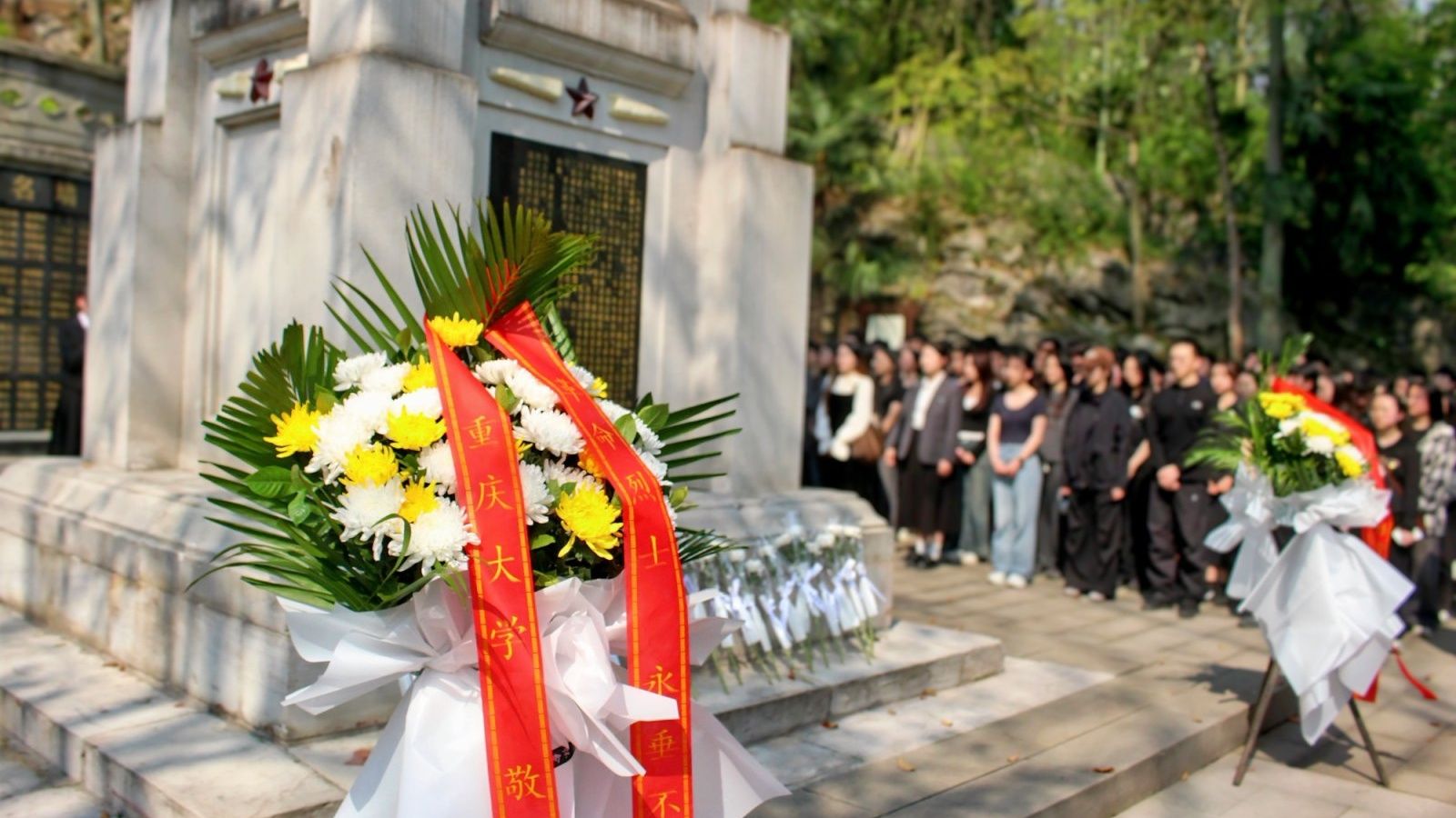 1743561297189124.jpg 1.jpg